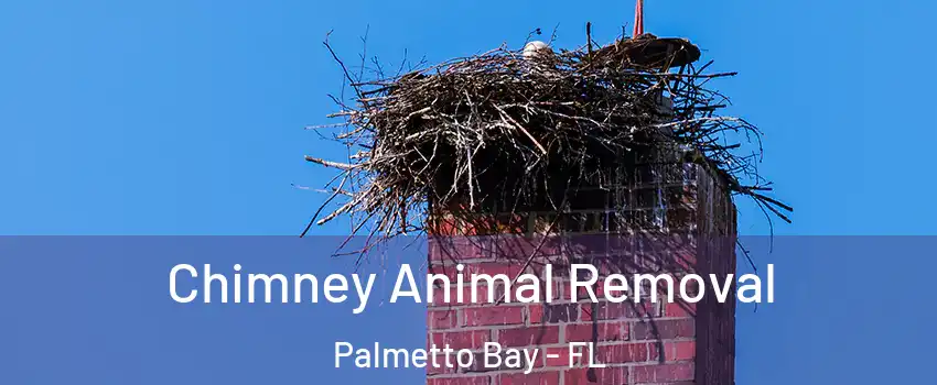 Chimney Animal Removal Palmetto Bay - FL