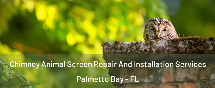  Chimney Animal Screen Repair And Installation Services Palmetto Bay - FL