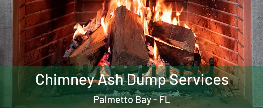  Chimney Ash Dump Services Palmetto Bay - FL
