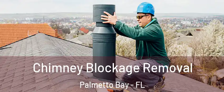  Chimney Blockage Removal Palmetto Bay - FL