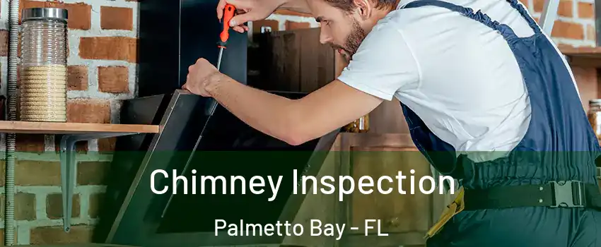  Chimney Inspection Palmetto Bay - FL