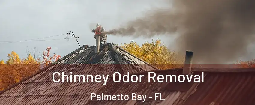 Chimney Odor Removal Palmetto Bay - FL