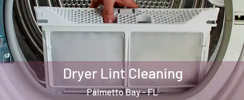  Dryer Lint Cleaning Palmetto Bay - FL