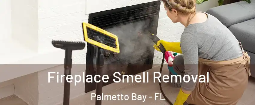  Fireplace Smell Removal Palmetto Bay - FL