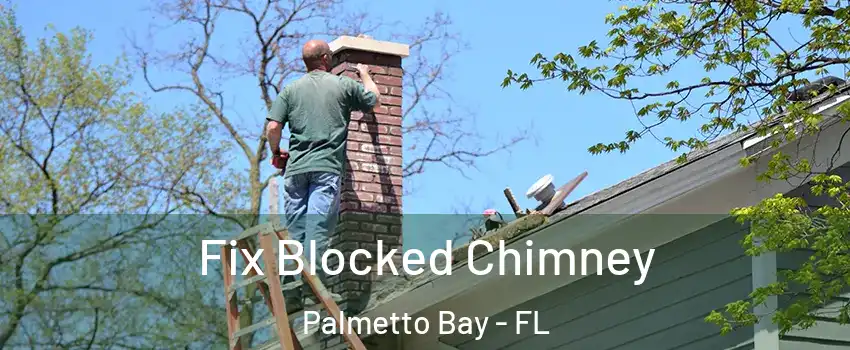  Fix Blocked Chimney Palmetto Bay - FL