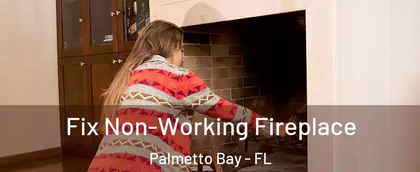  Fix Non-Working Fireplace Palmetto Bay - FL