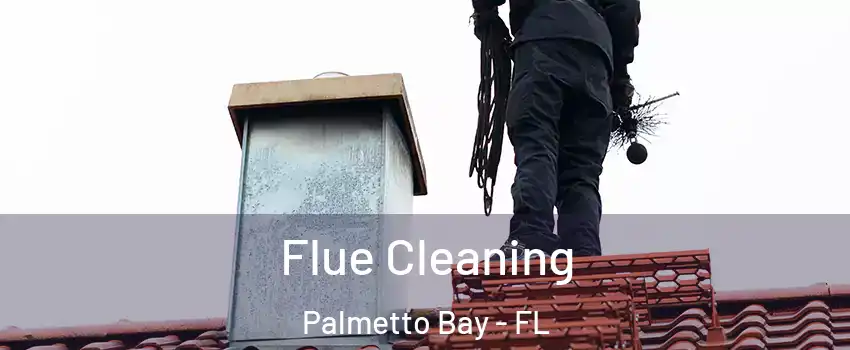  Flue Cleaning Palmetto Bay - FL