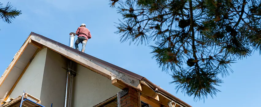 Birds Removal Contractors from Chimney in Palmetto Bay, FL