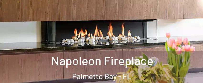  Napoleon Fireplace Palmetto Bay - FL